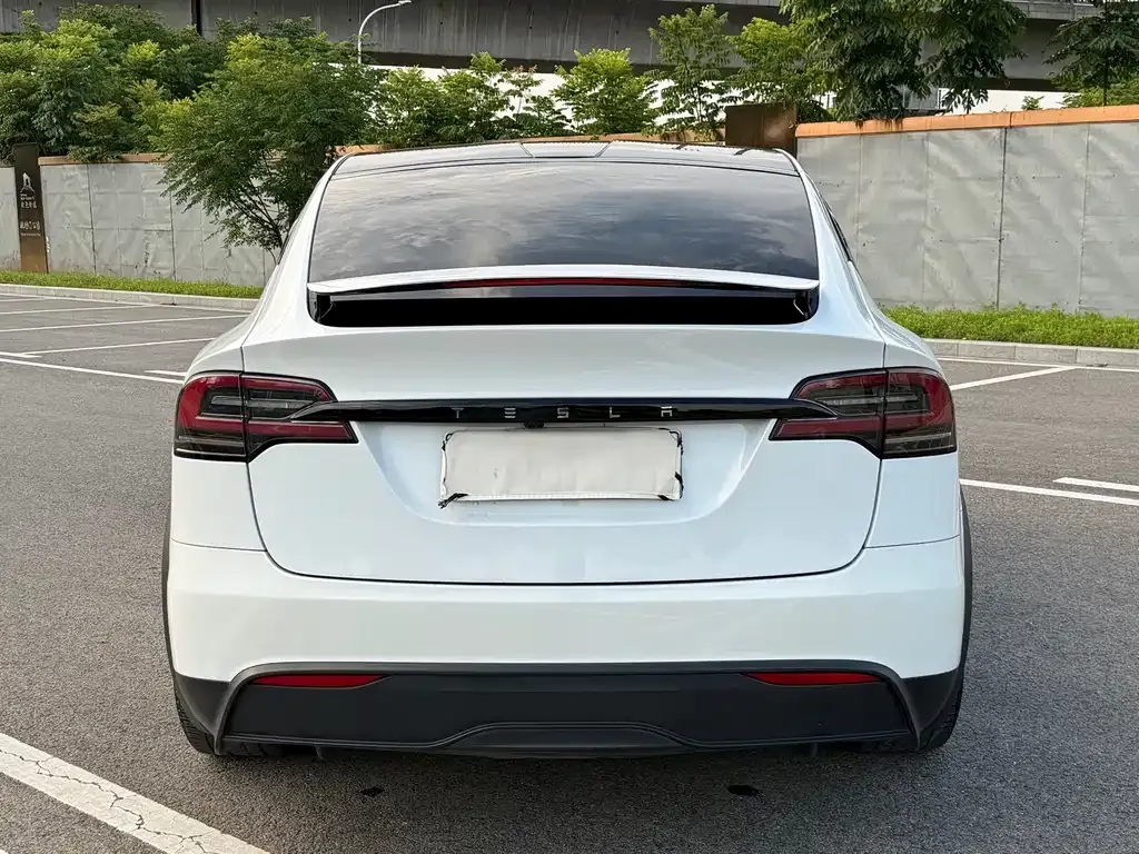 Tesla Model X 2023 из CN, фото 10