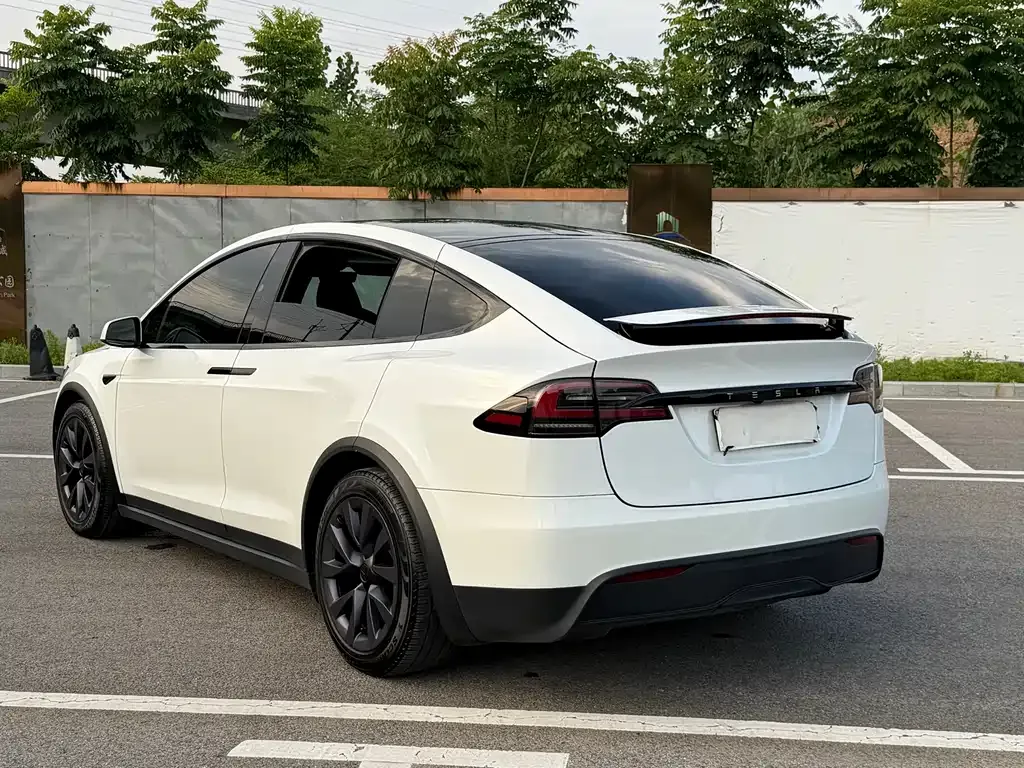 Tesla Model X 2023 из CN, фото 9