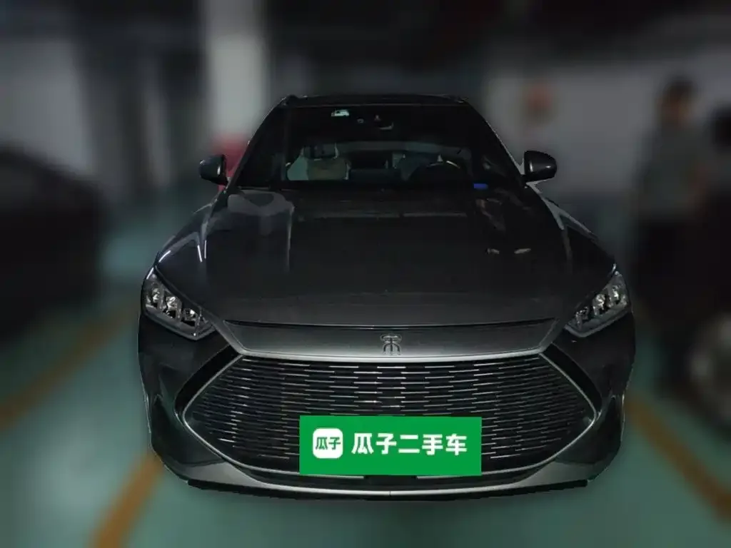 BYD PLUS New Energy — фото 10