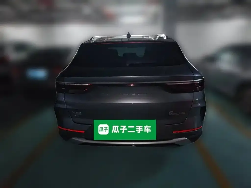 BYD PLUS New Energy — фото 8