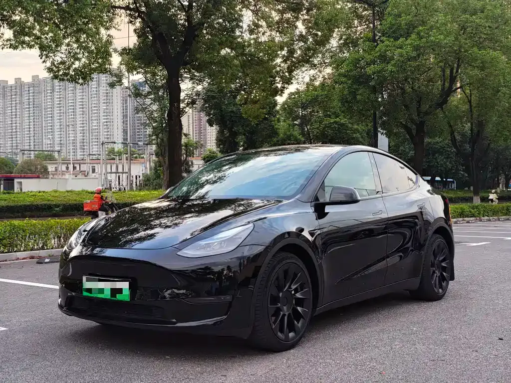Tesla Model Y — фото 1
