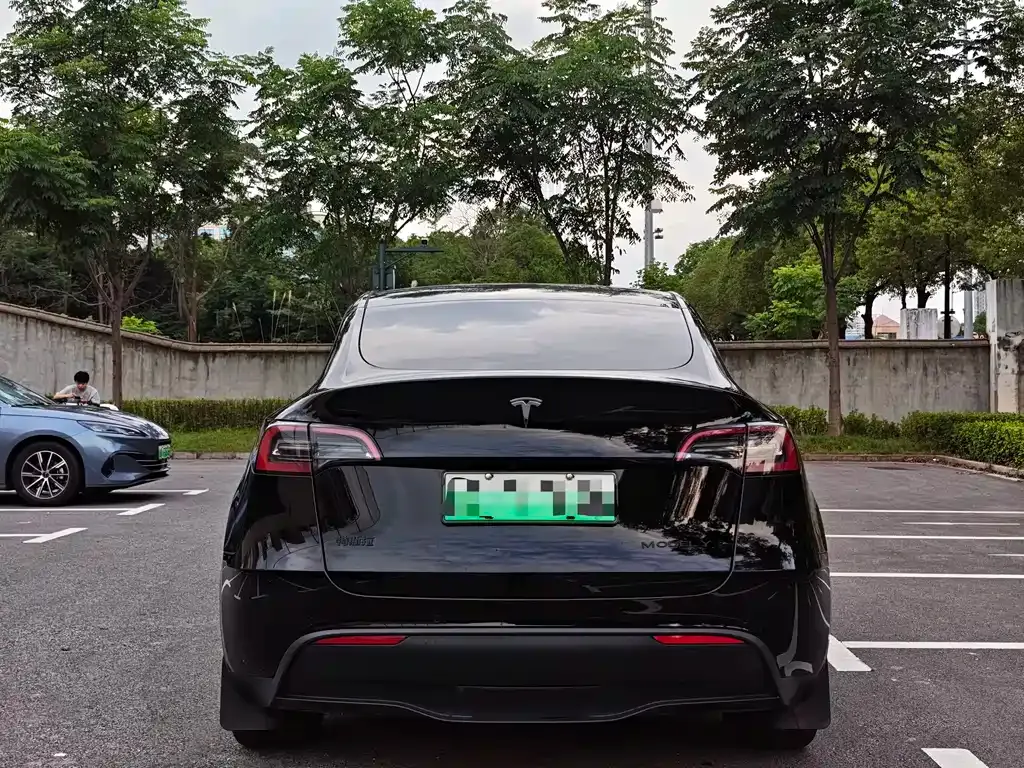 Tesla Model Y — фото 10