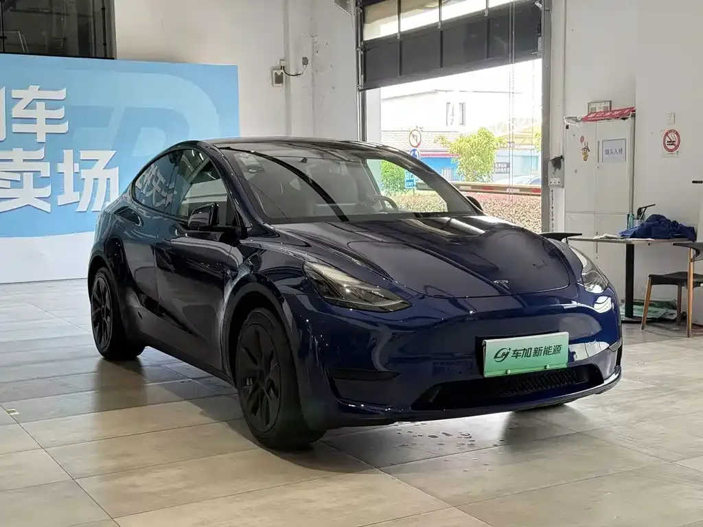 Tesla Model Y — фото 5