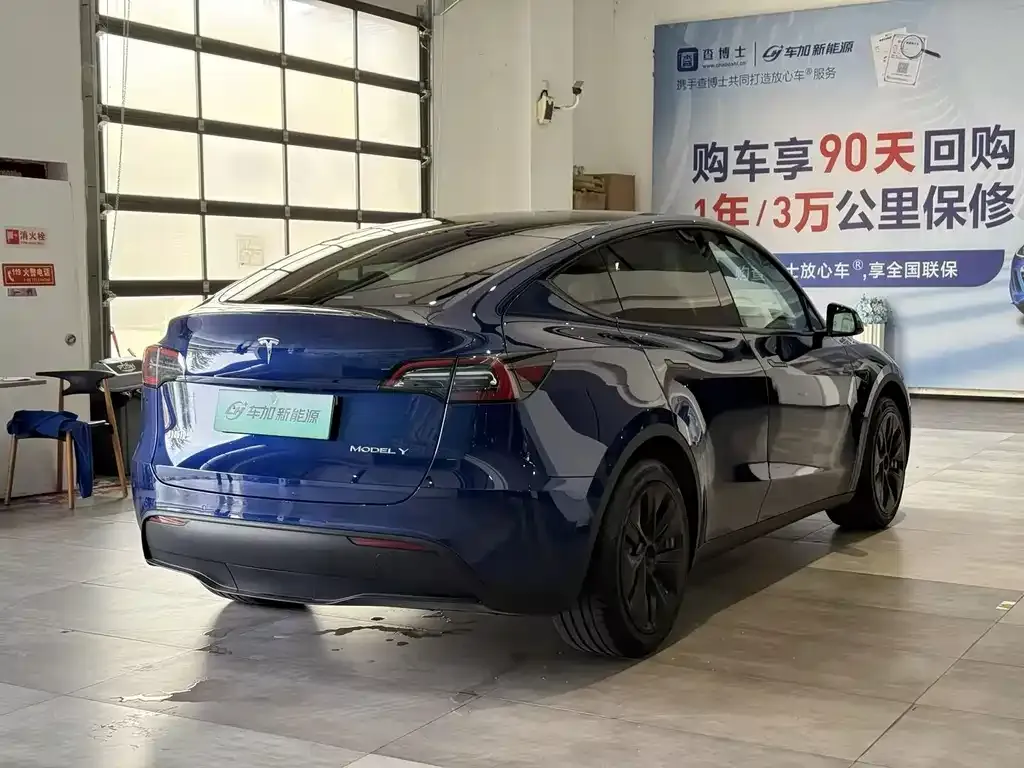Tesla Model Y — фото 3