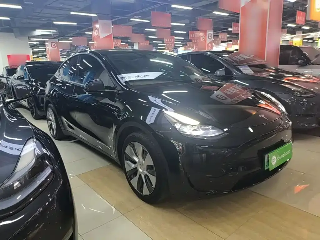 Tesla Model Y — фото 9