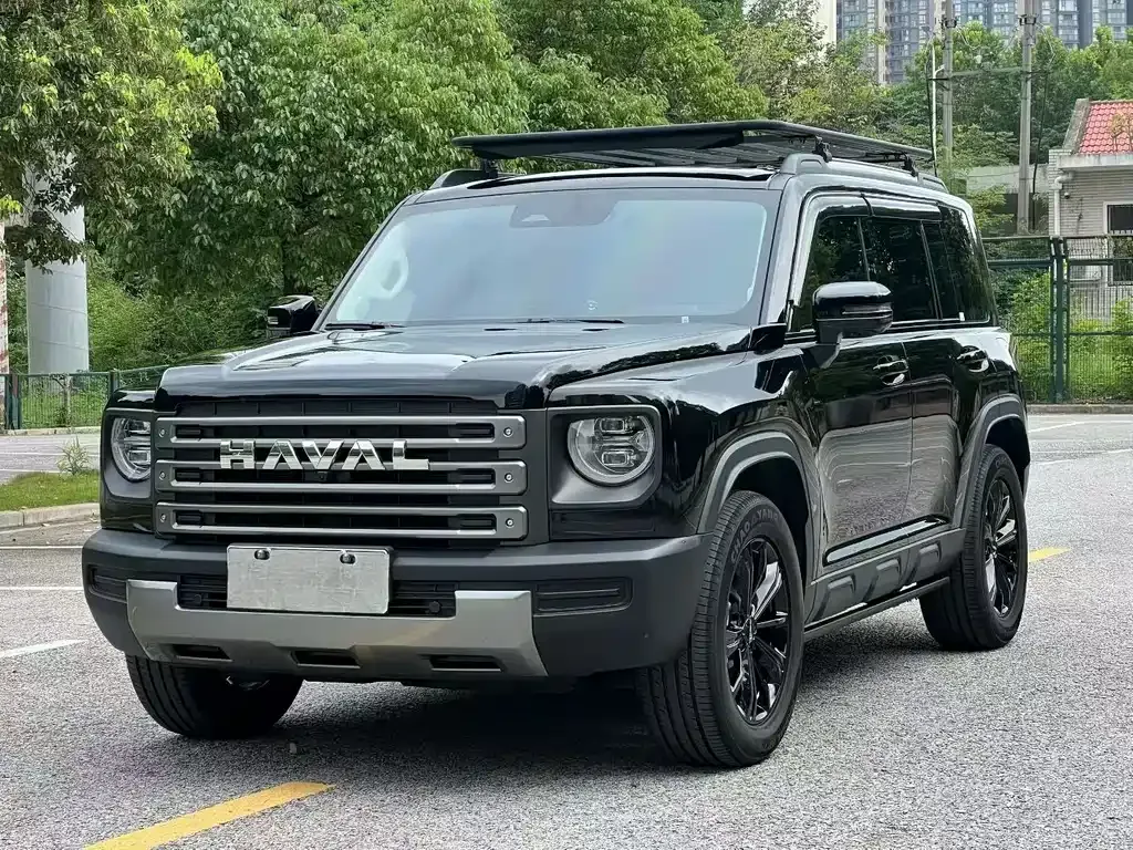 Haval Menglong New Energy — фото 1