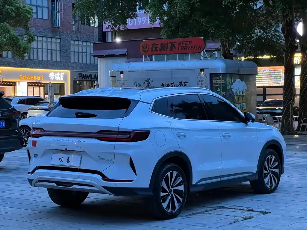 BYD PLUS New Energy — фото 6