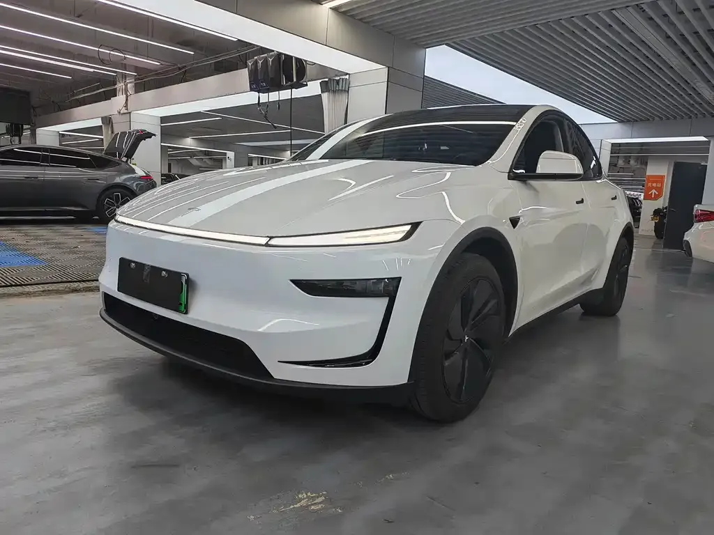 Tesla Model Y — фото 1