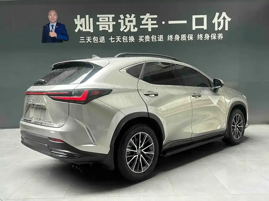 Lexus NX — фото 10