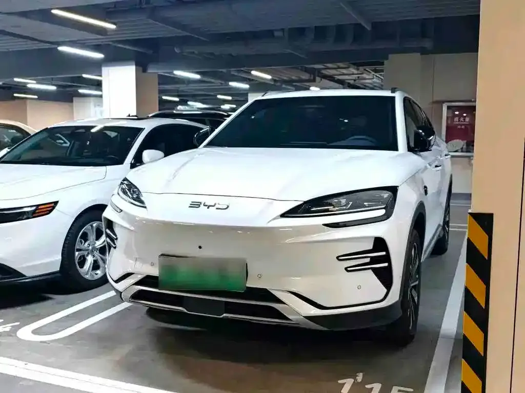 BYD PLUS New Energy — фото 1