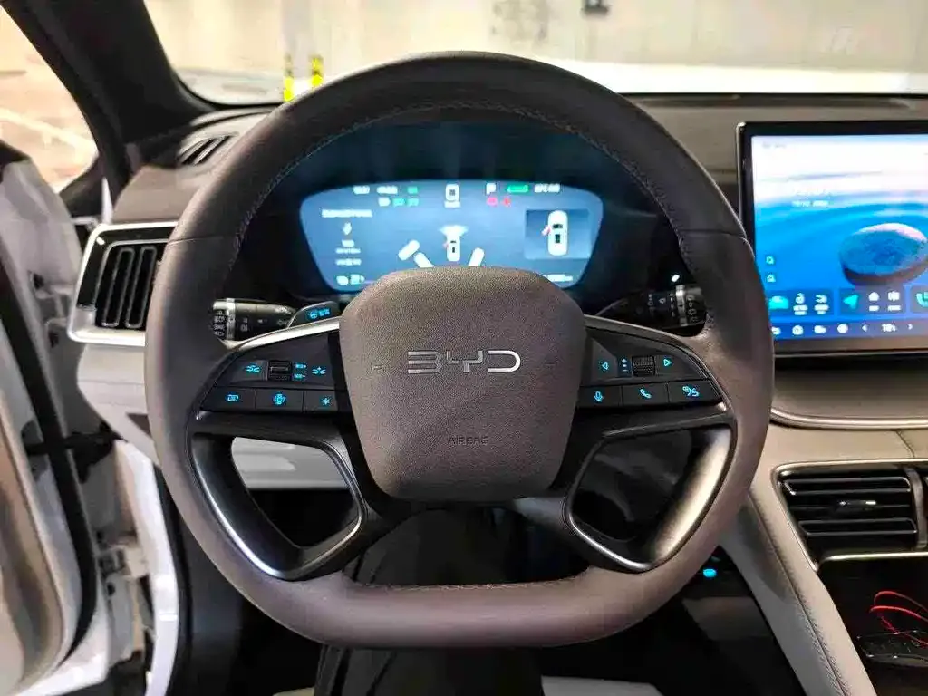 BYD PLUS New Energy — фото 6