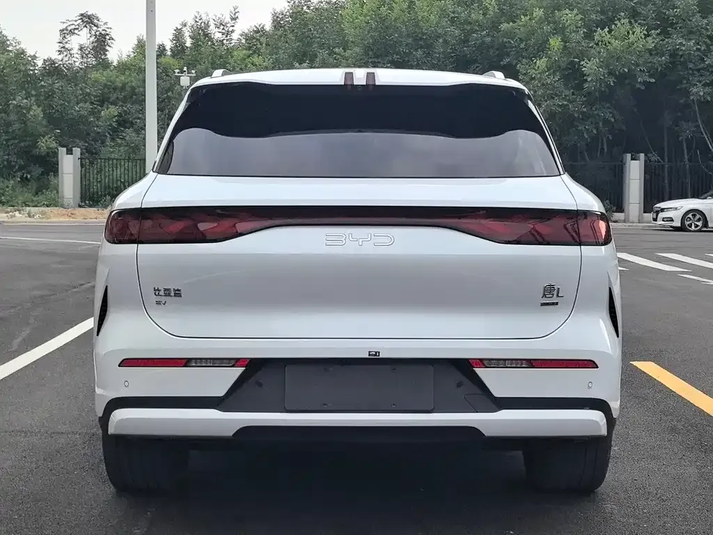BYD Tang L — фото 3