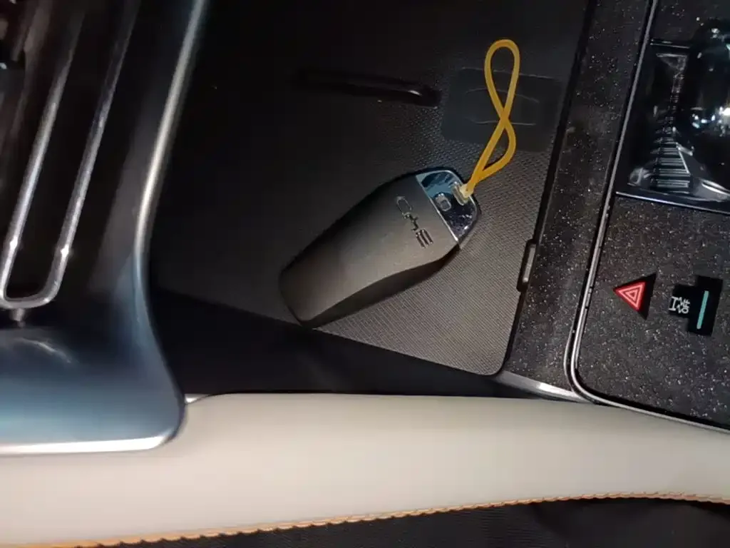 BYD PLUS New Energy — фото 10