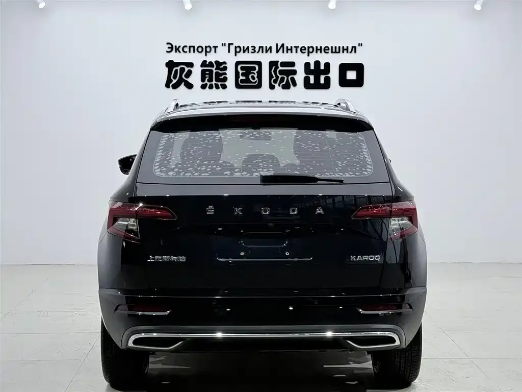 Skoda Karoq — фото 9