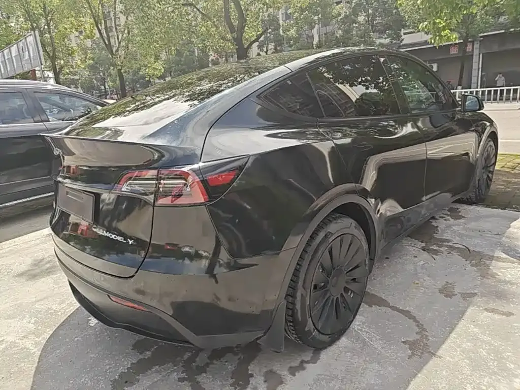 Tesla Model Y — фото 10
