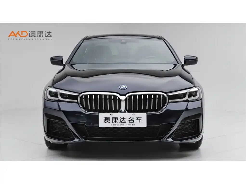 BMW 5 Series New Energy — фото 4