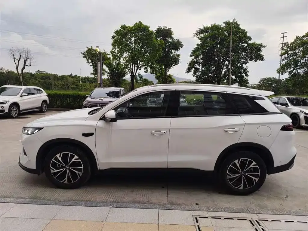 BYD Pro New Energy — фото 5