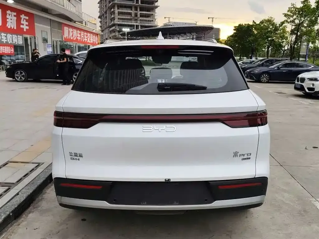 BYD Pro New Energy — фото 9