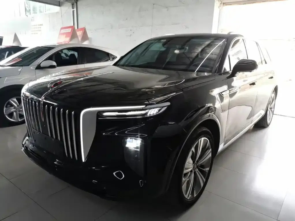 Hongqi E-HS9 2023 из CN, фото 2