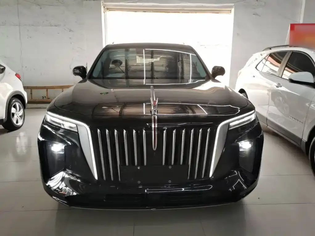 Hongqi E-HS9 2023 из CN, фото 4