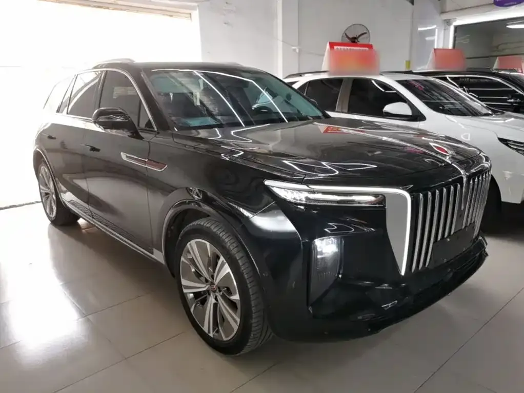 Hongqi E-HS9 2023 из CN, фото 6