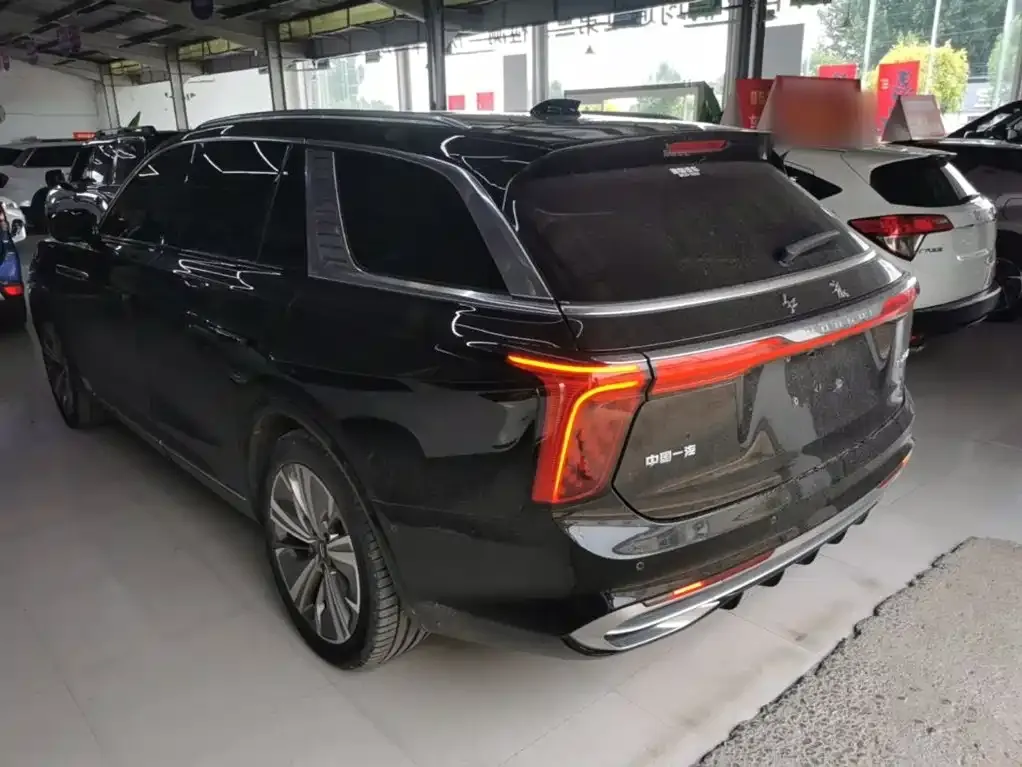 Hongqi E-HS9 2023 из CN, фото 5