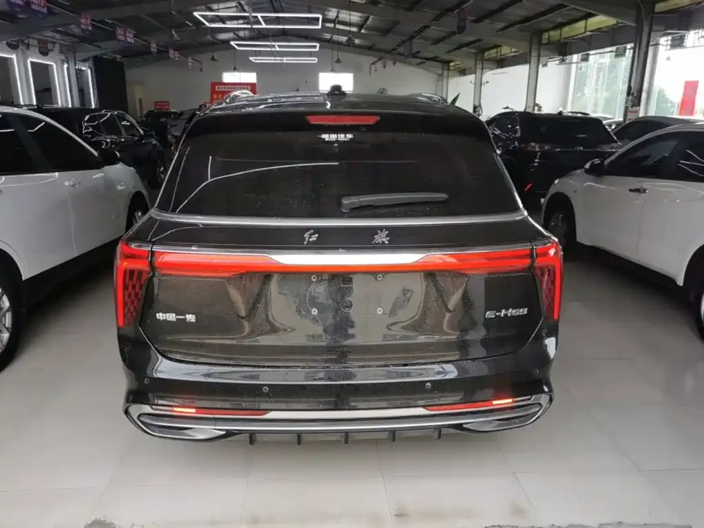 Hongqi E-HS9 2023 из CN, фото 9