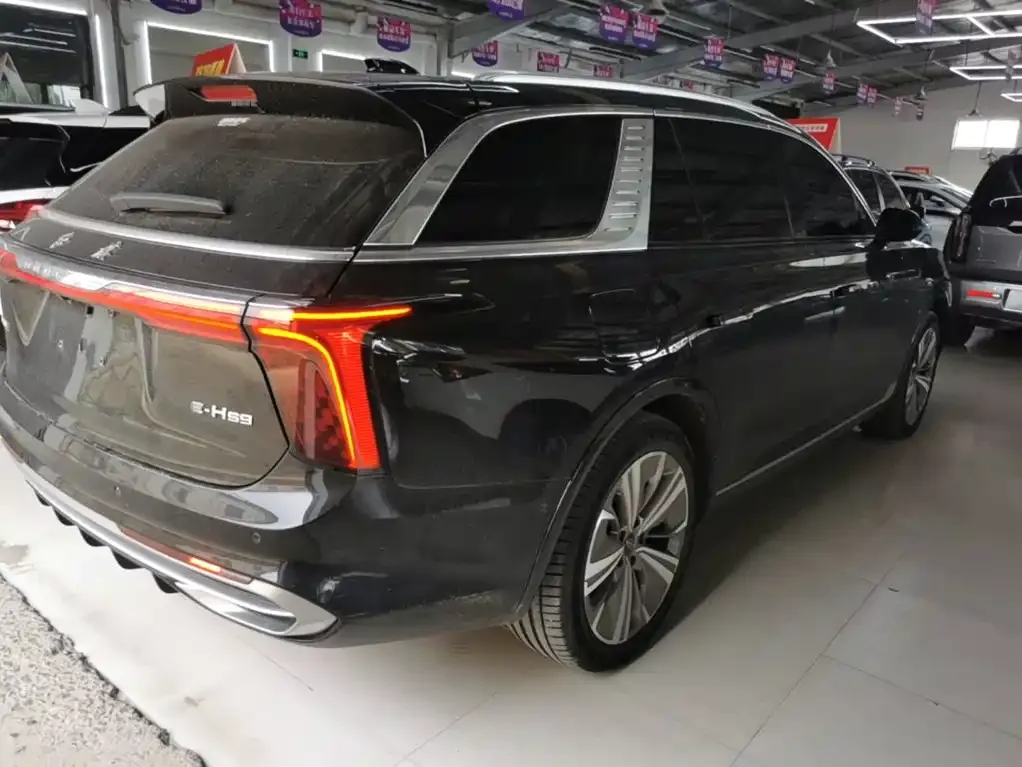 Hongqi E-HS9 2023 из CN, фото 7