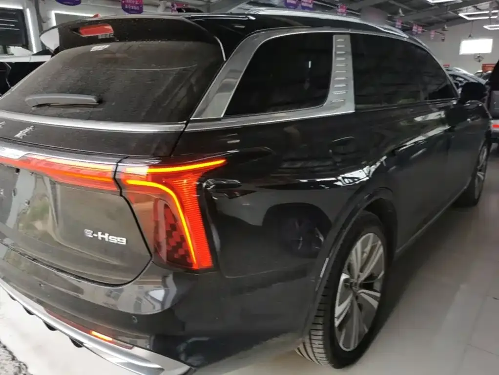 Hongqi E-HS9 2023 из CN, фото 8