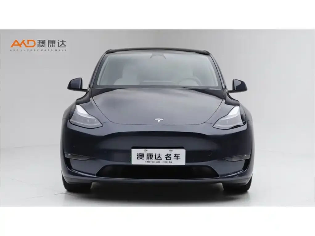 Tesla Model Y — фото 9