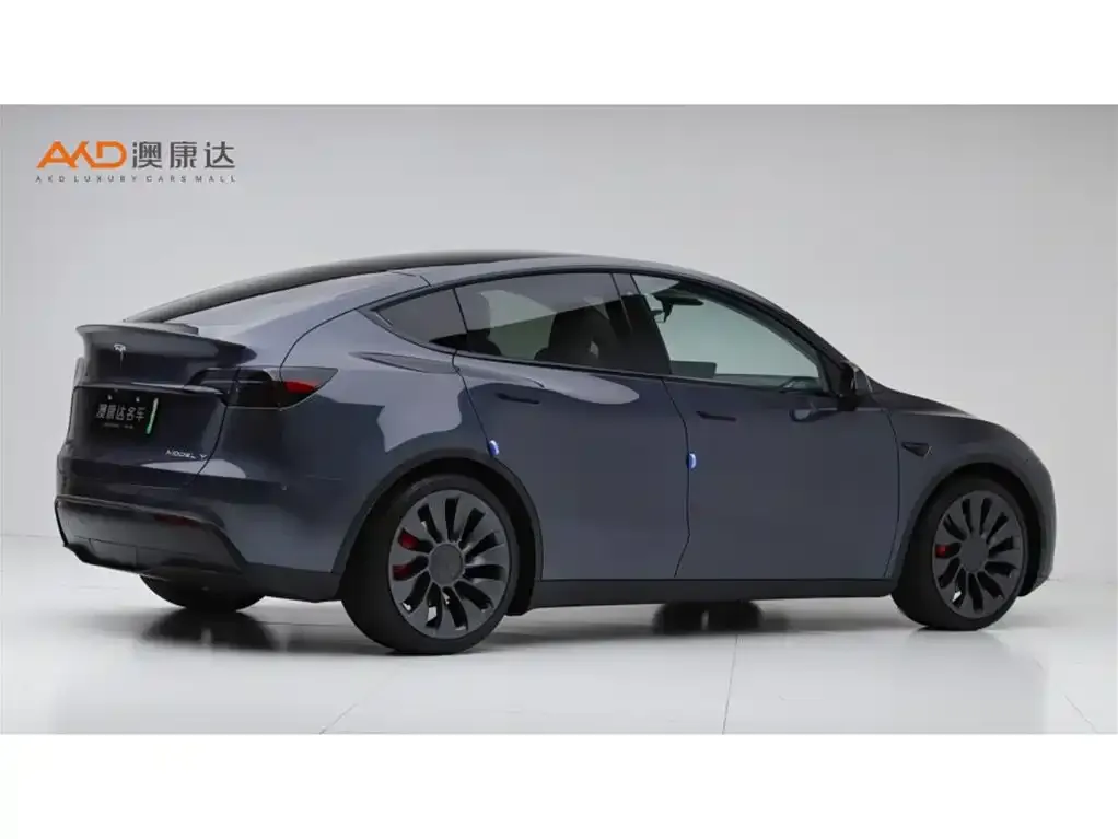 Tesla Model Y — фото 8