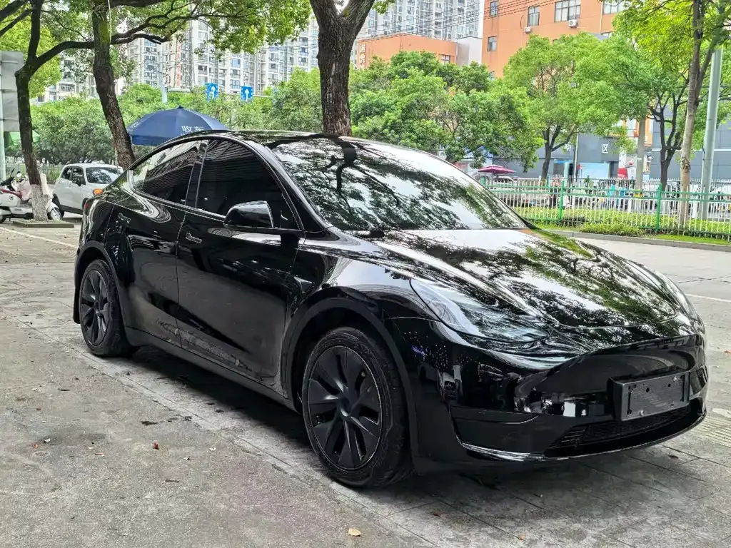 Tesla Model Y — фото 10