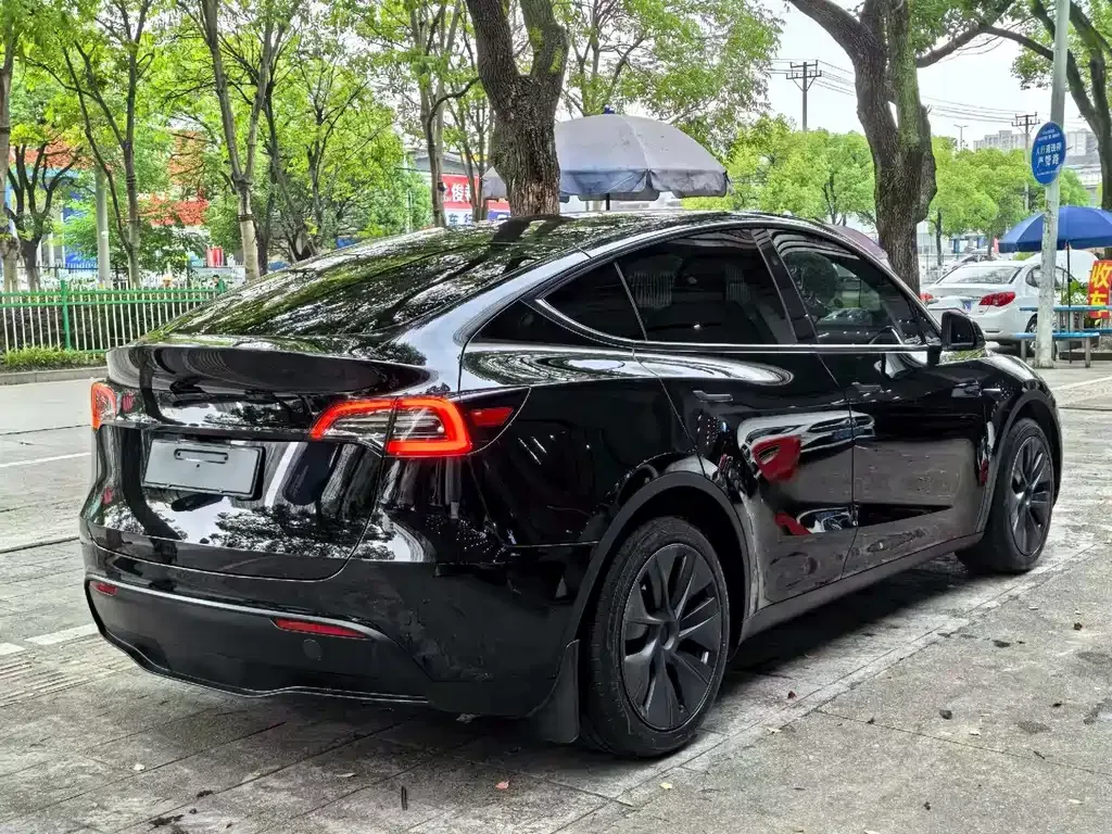 Tesla Model Y — фото 5
