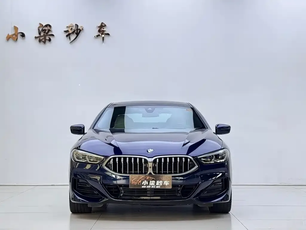 BMW 8 Series — фото 9