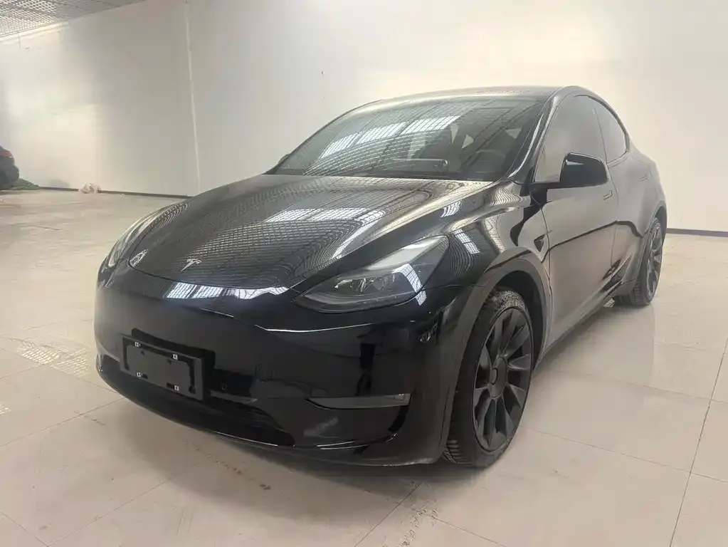 Tesla Model Y — фото 1