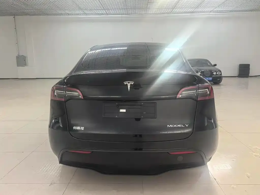 Tesla Model Y — фото 4