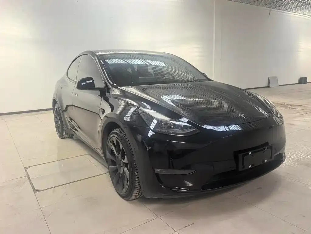 Tesla Model Y — фото 8