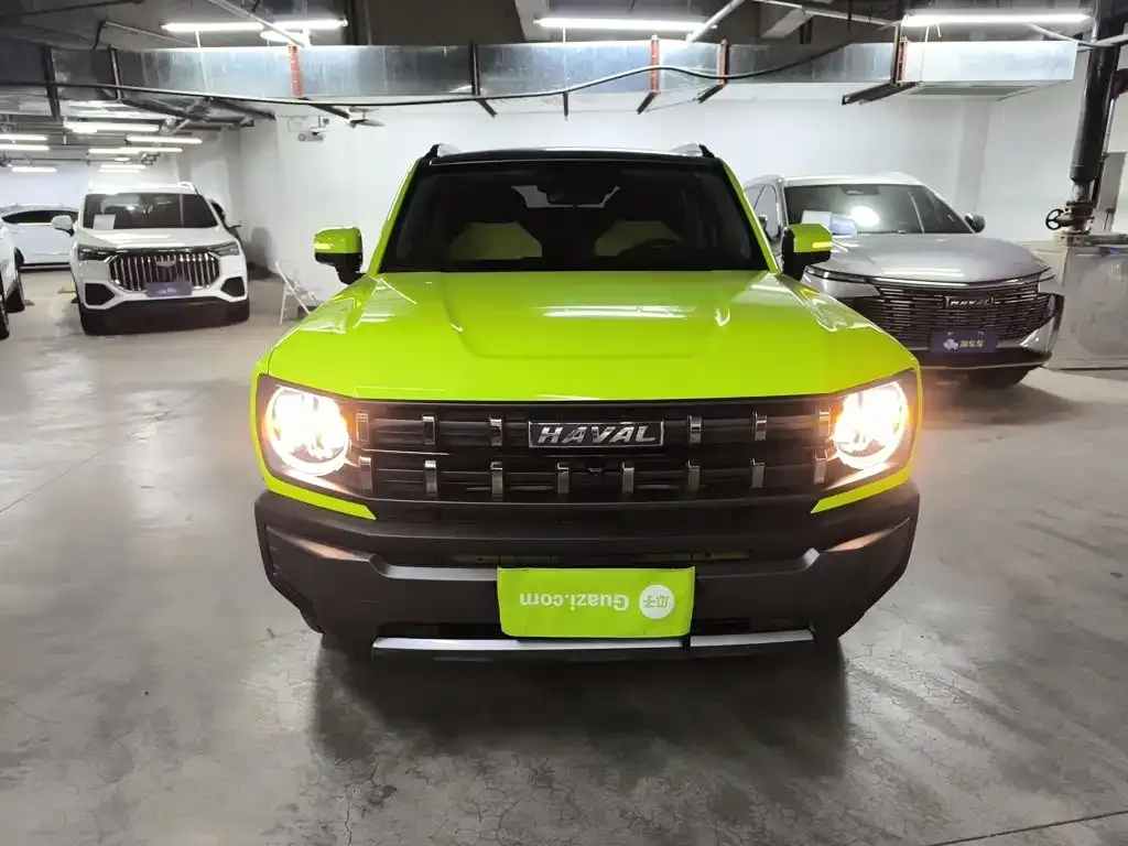 Haval Cool Dog — фото 9