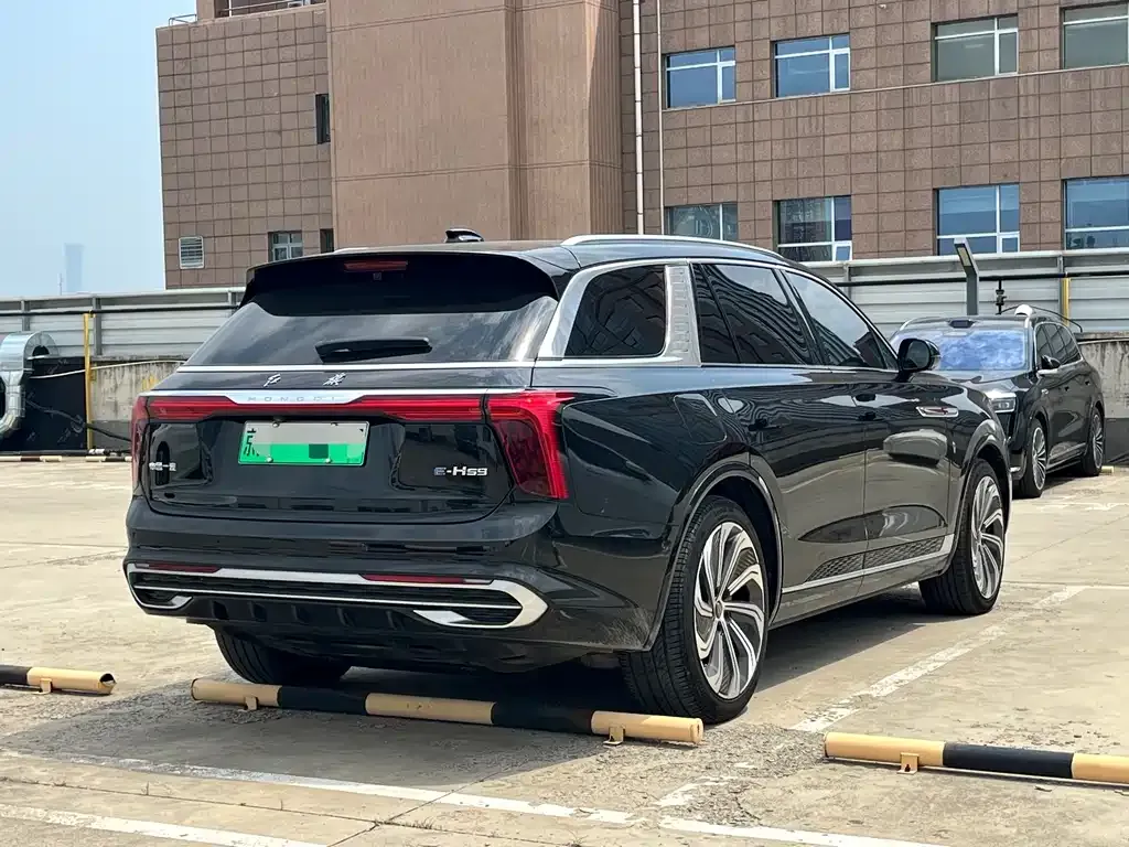 Hongqi E-HS9 — фото 3