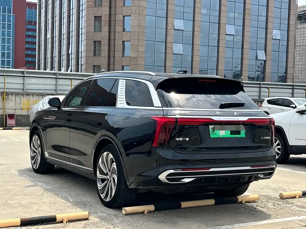 Hongqi E-HS9 — фото 8