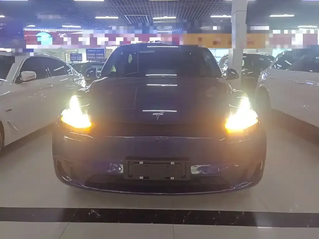 Tesla Model Y — фото 3
