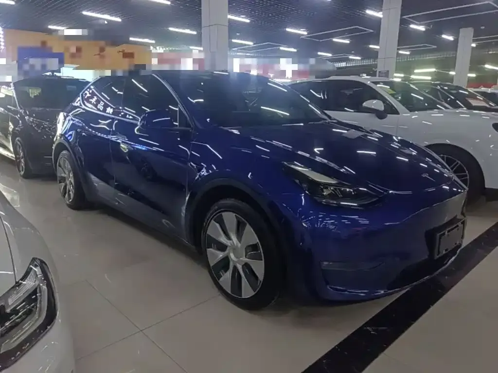Tesla Model Y — фото 8