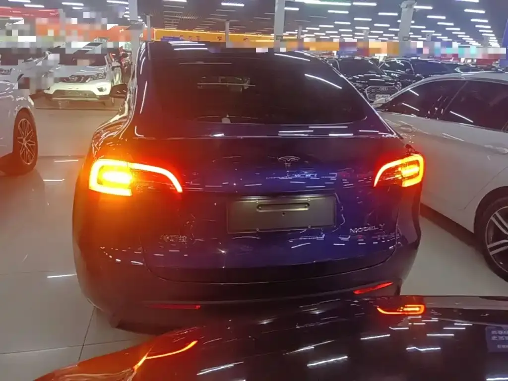 Tesla Model Y — фото 10