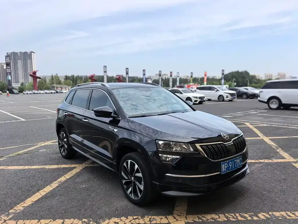 Skoda Karoq — фото 10