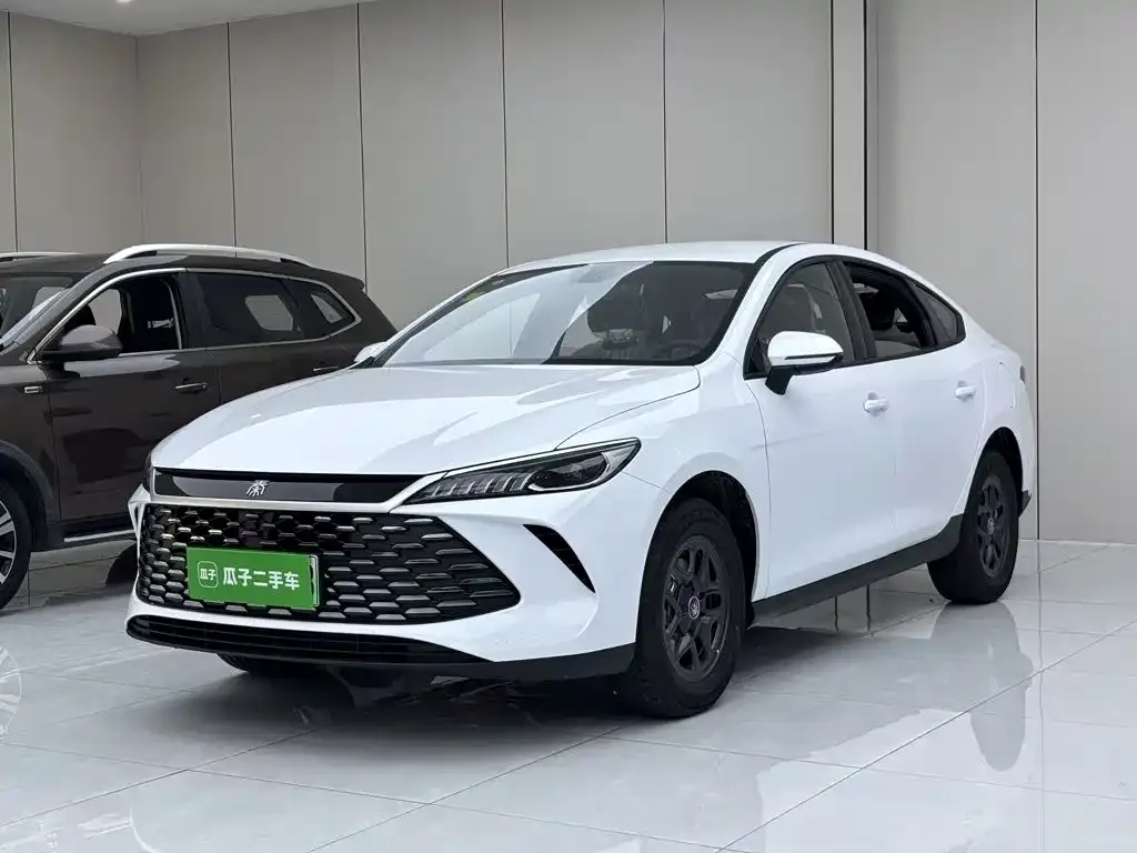 BYD Qin PLUS — фото 2