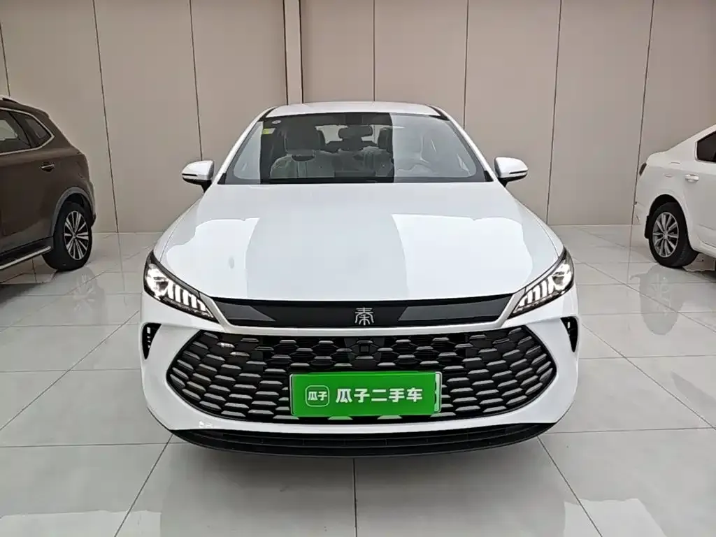 BYD Qin PLUS — фото 6