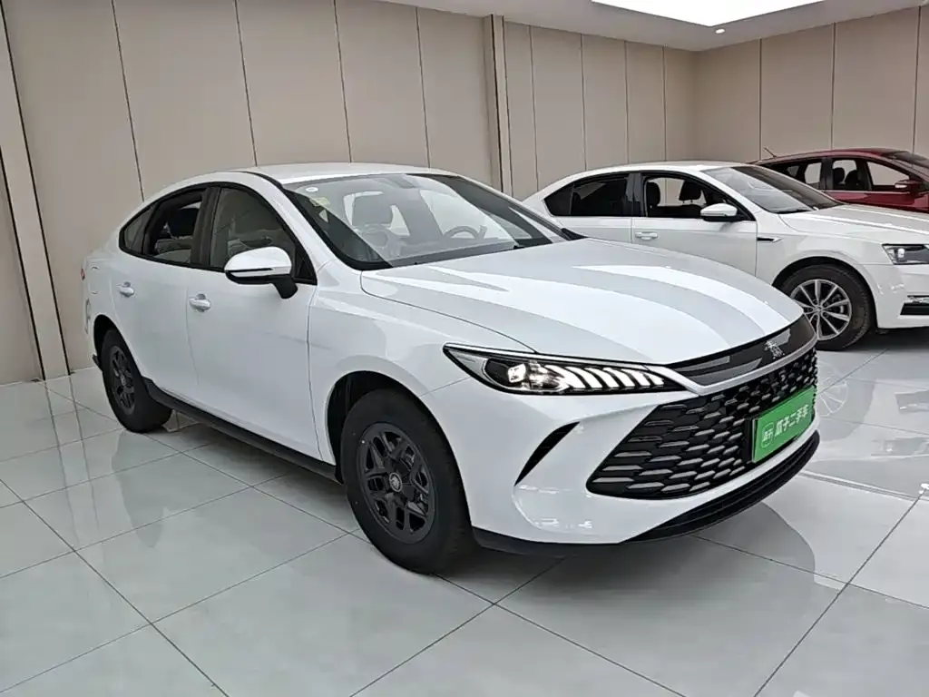 BYD Qin PLUS — фото 4