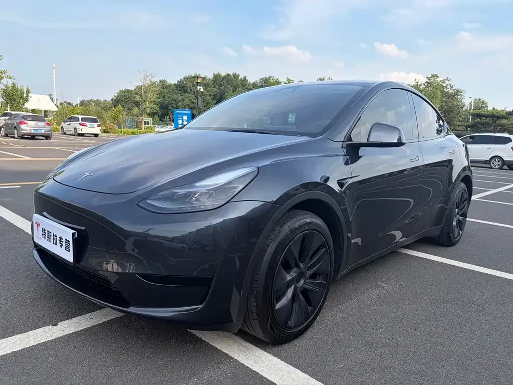 Tesla Model Y — фото 1