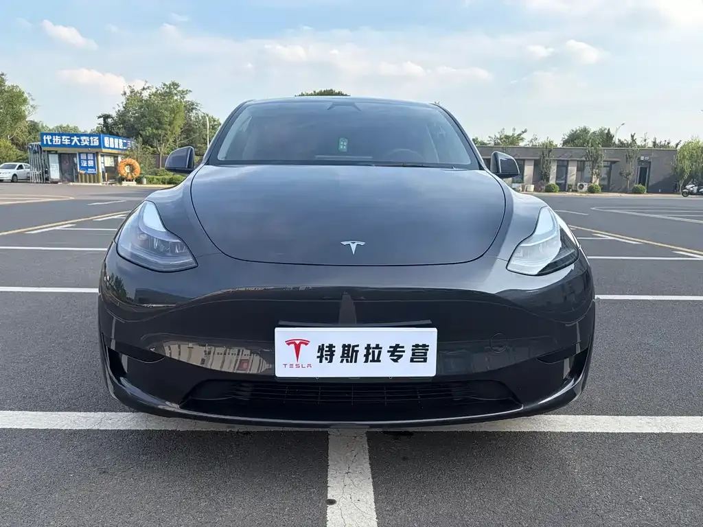 Tesla Model Y — фото 5