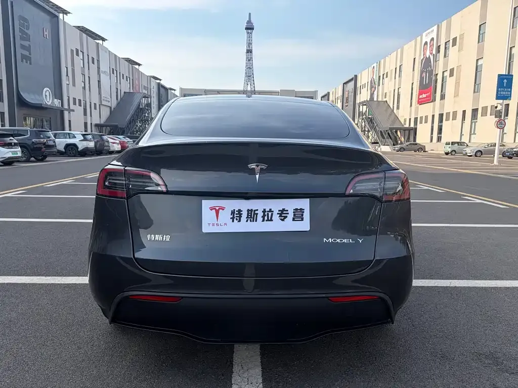 Tesla Model Y — фото 10
